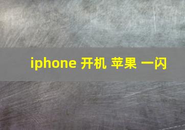 iphone 开机 苹果 一闪